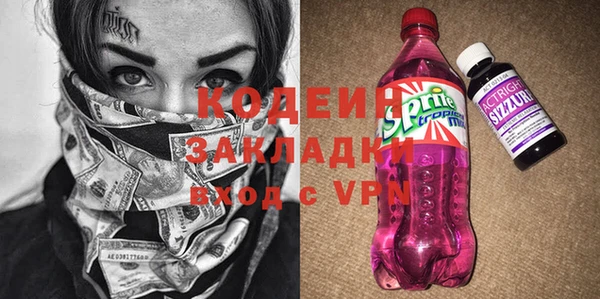 индика Сосновый Бор
