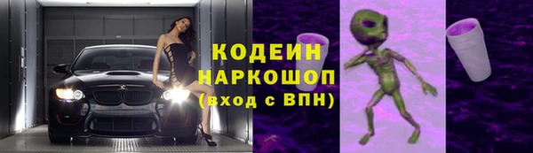индика Сосновый Бор