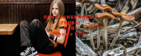 jwh Аркадак